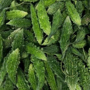 baby karela