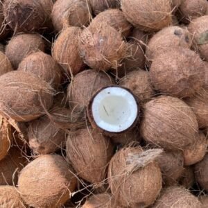 Dry semi-husked coconuts