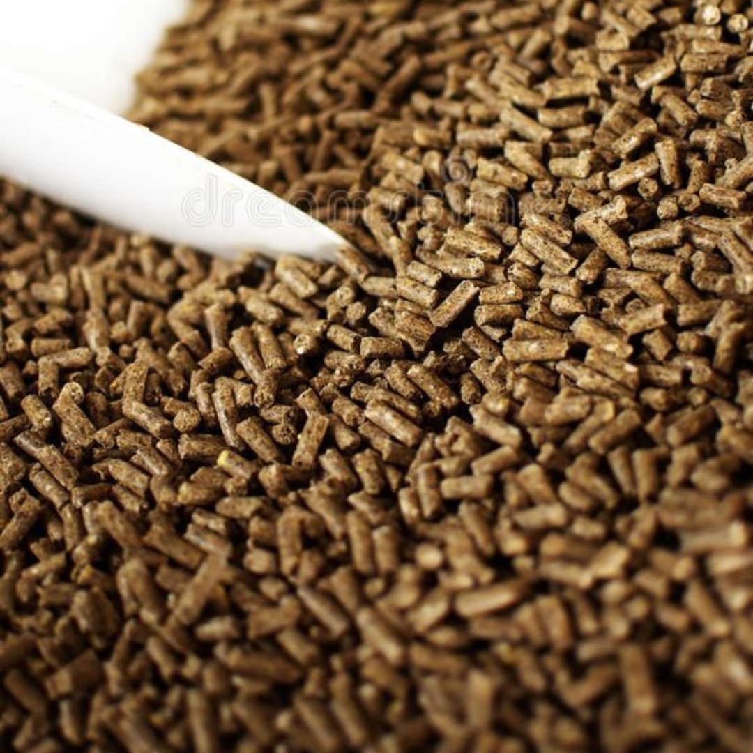 Cattle feed