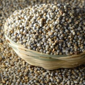 Green Millets (Bajri)