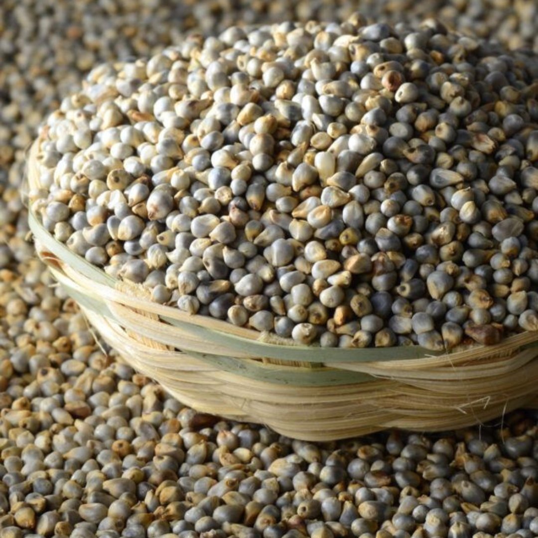 Green Millets (Bajri)