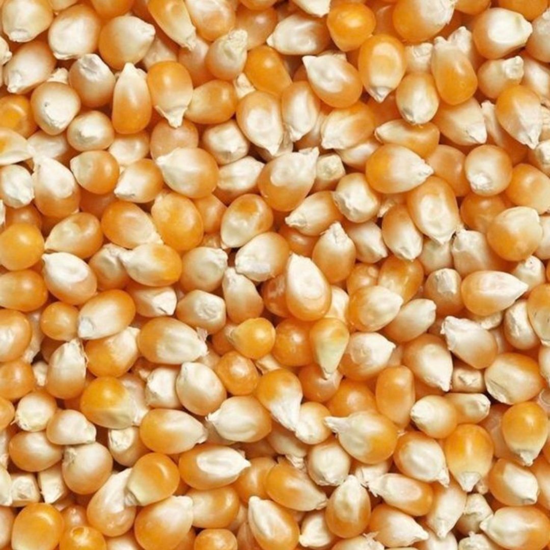 maize (Whole & Tukdi)