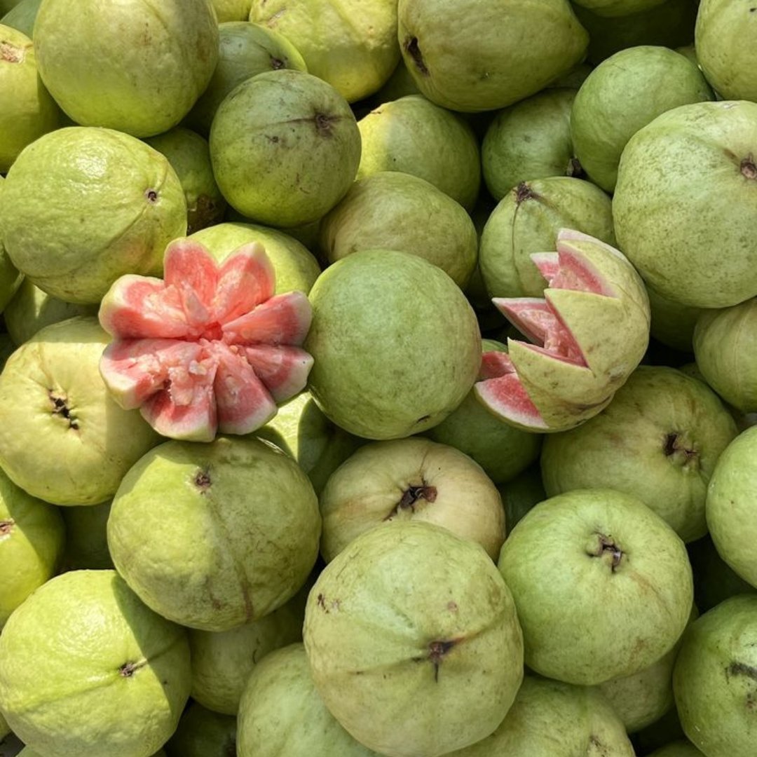 Guava