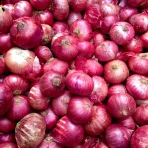 Onion
